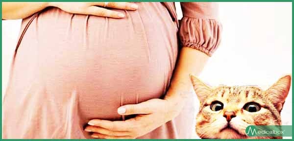 toxoplasmosi in gravidanza